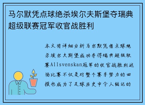 马尔默凭点球绝杀埃尔夫斯堡夺瑞典超级联赛冠军收官战胜利